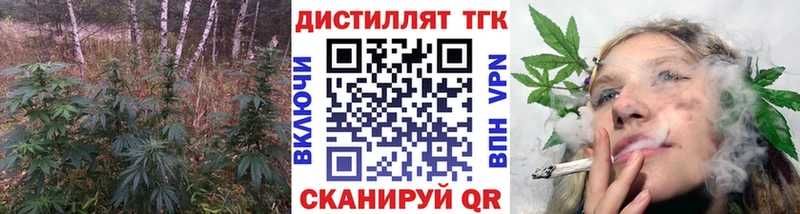 кракен как войти  Новосибирск  ТГК гашишное масло  магазин  наркотиков 